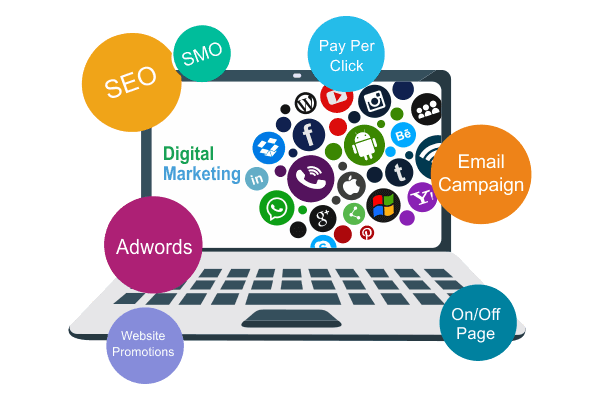 SEO & Digital Marketing Service